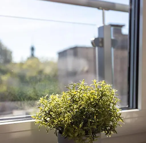 Apartman Z Tarasem Old Town Tartaczna 56 Gdańsk